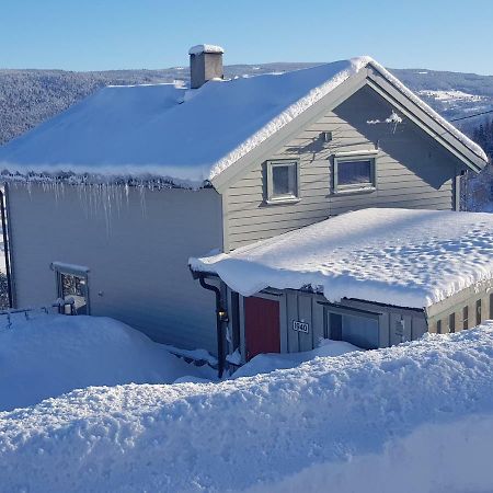 Lille Randklev Gaestehus Ringebu Exteriör bild